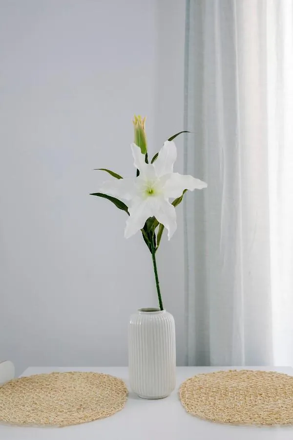 Homeabout Juan De Austria Apartments Malaga